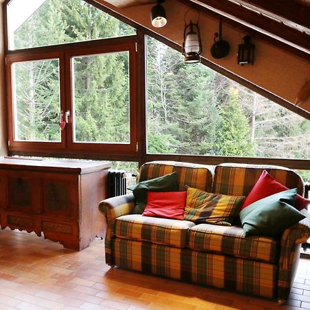 Fewo Schwarzwaldblick, 3 Schlafzimmer Todtnau-Muggenbrunn, Liftverbund Feldberg Экстерьер фото