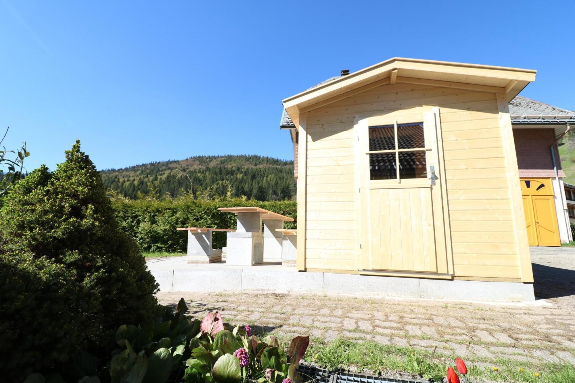 Fewo Schwarzwaldblick, 3 Schlafzimmer Todtnau-Muggenbrunn, Liftverbund Feldberg Экстерьер фото