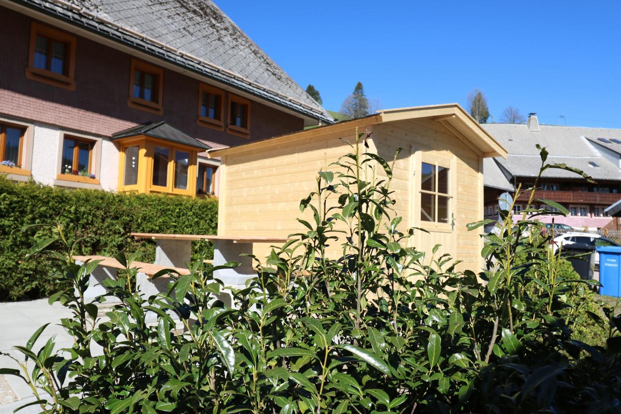 Fewo Schwarzwaldblick, 3 Schlafzimmer Todtnau-Muggenbrunn, Liftverbund Feldberg Экстерьер фото
