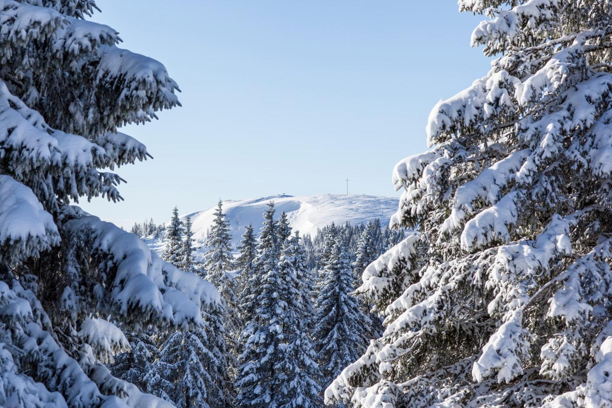 Fewo Schwarzwaldblick, 3 Schlafzimmer Todtnau-Muggenbrunn, Liftverbund Feldberg Экстерьер фото
