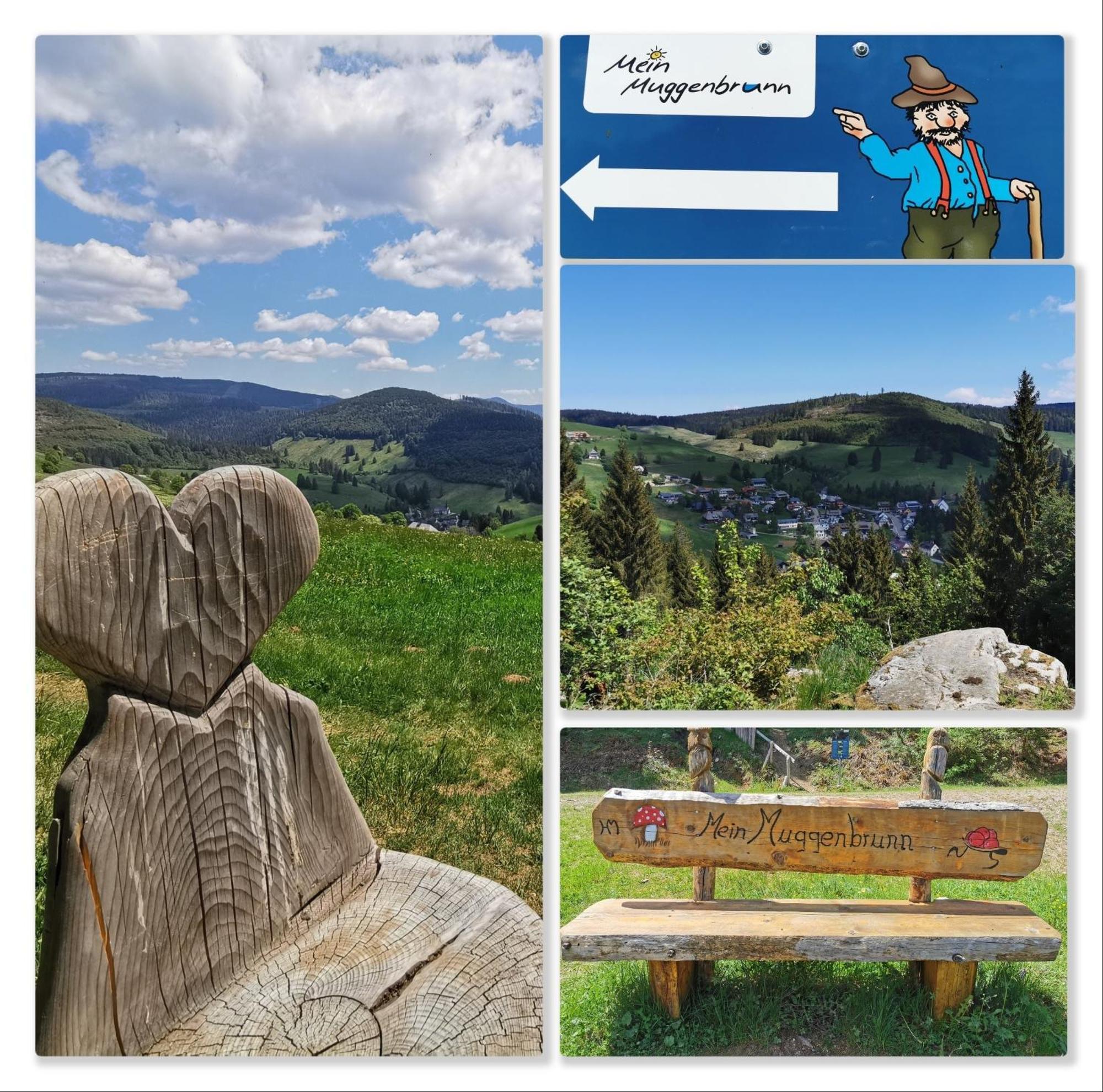 Fewo Schwarzwaldblick, 3 Schlafzimmer Todtnau-Muggenbrunn, Liftverbund Feldberg Экстерьер фото